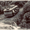 A Dangwa Tranco Bus in La Trinidad, Benguet. Circa 1960s