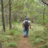 Baguio Native Spends 30 Years to Create His Own Forest