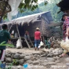 LOOK: Abra Province, Nagiwaras Ti Libre Nga Manok